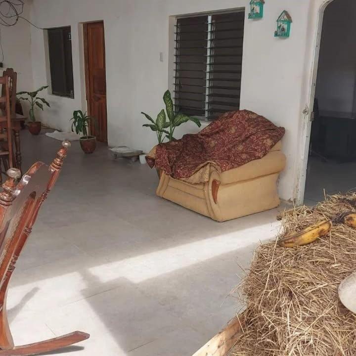 Hostal Brisas Del Ometepe Rivas Zewnętrze zdjęcie